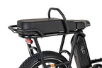 Radrunner Passenger Bars