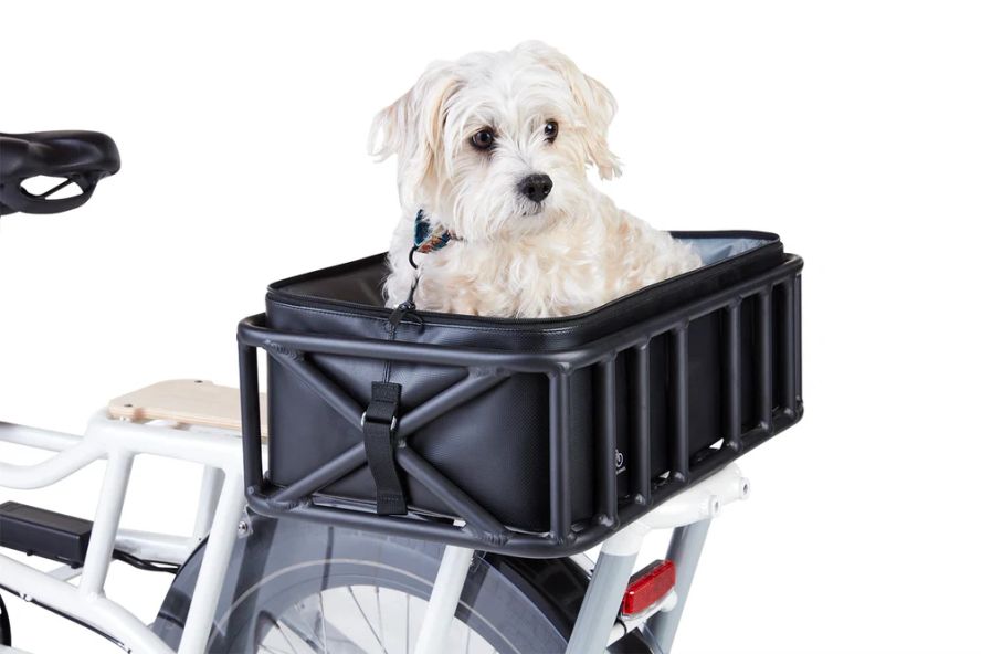 Pet Basket Carrier